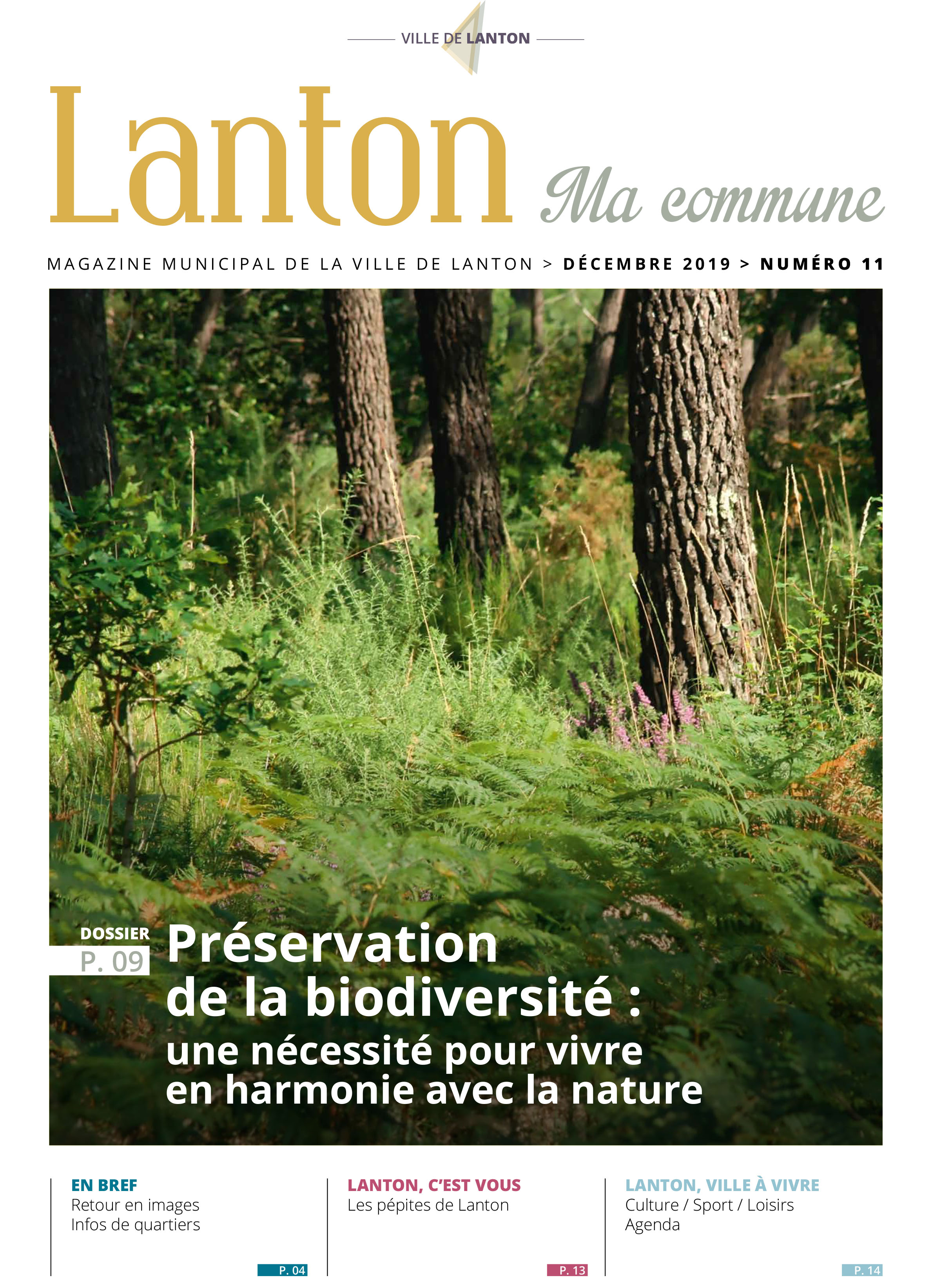 Publication n°11