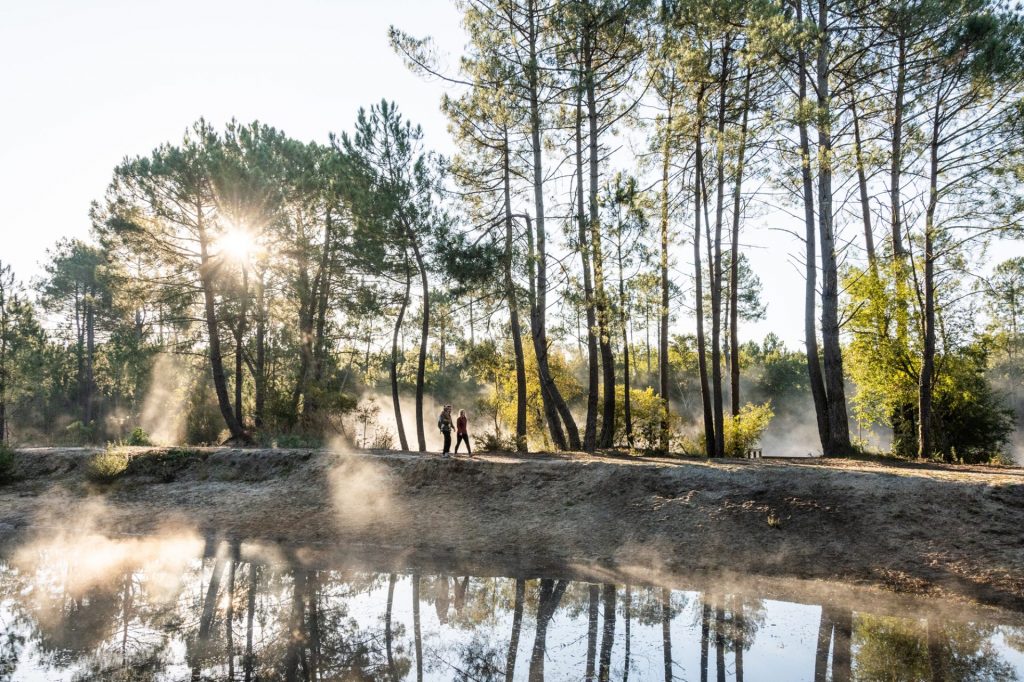TRAVAUX D'EXPLOITATION FORESTIÈRE AU PAS SIMONET/LA SABLIÈRE DU 6 AU 18/11/2025