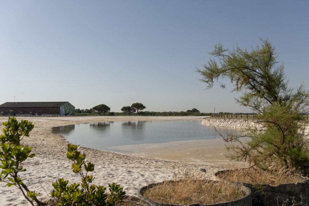 LE BASSIN DE BAIGNADE EST OUVERT !